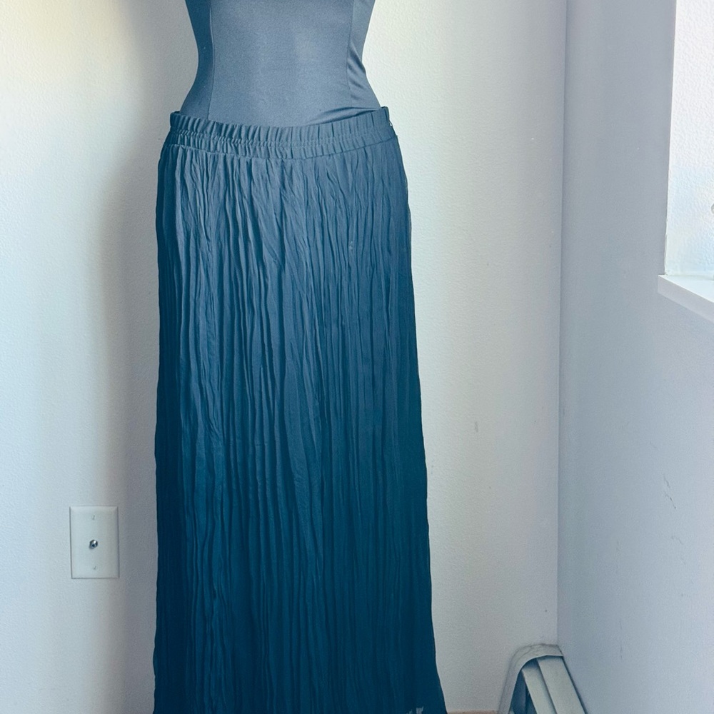 Roz & Ali Black Pleated Maxi Skirt